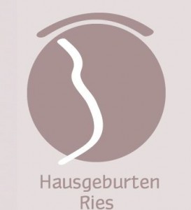 logo hausgeburten-ries